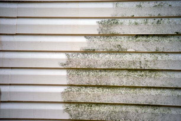 Affordable siding repair and maintenance services in Grundy, VA