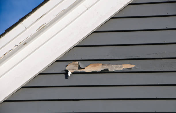 Best Custom Trim and Detailing for Siding  in Grundy, VA